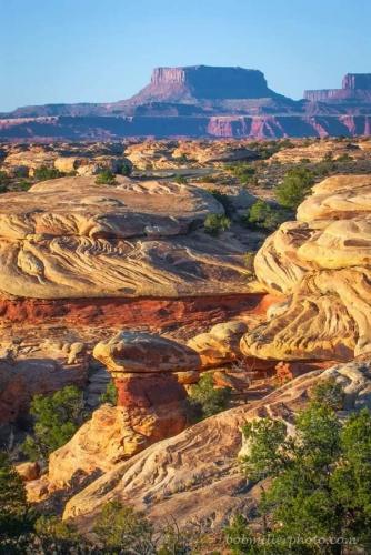 130985644_10215542641913889_7480813506180546751_n