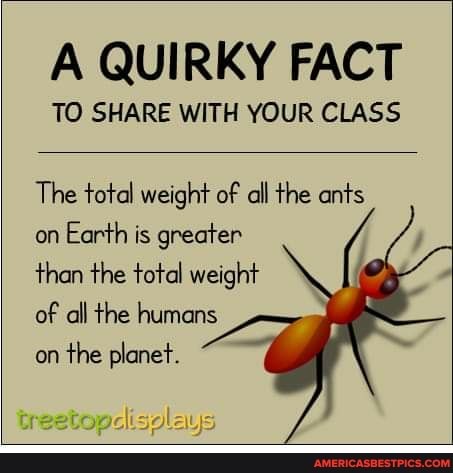 23:07:16 GMT-0600 (CST).image