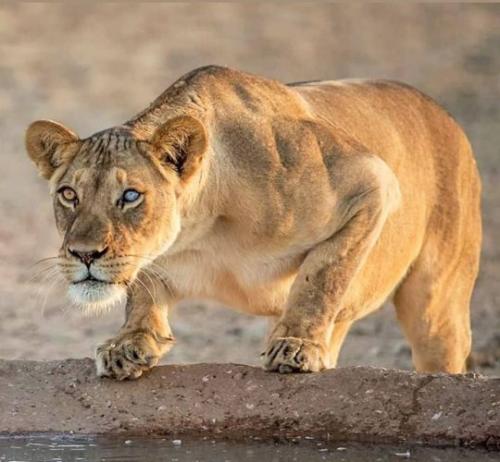 tumblr_94755f1ff47bc391abbb89486c64d464_1fd60668_540