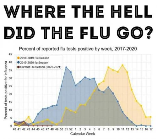 FB_IMG_1607753278394