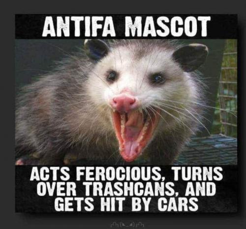 14:06:33 GMT-0500 (EST).image