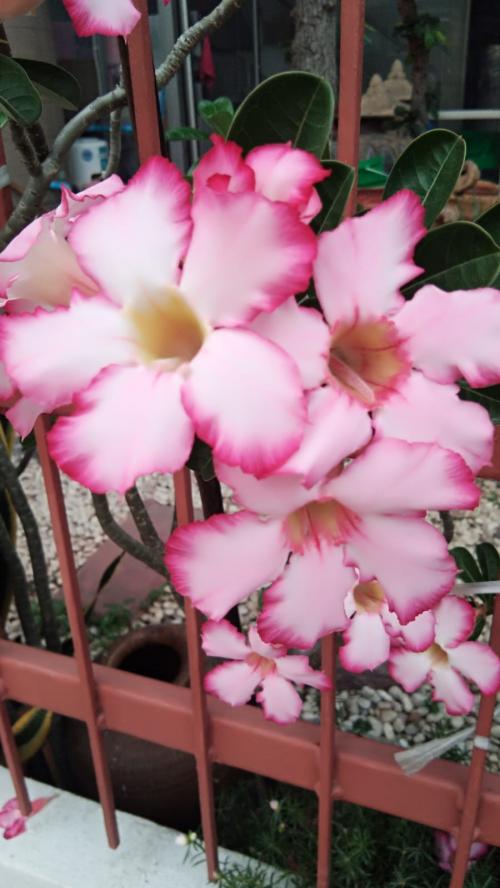 11:47:15 GMT+0100 (WAT).image