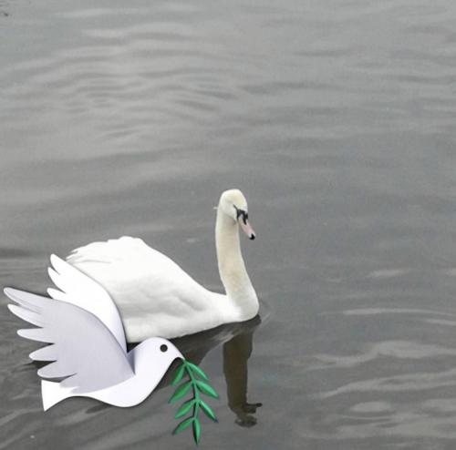 23:01:43 GMT+0100 (WAT).image