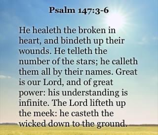 329A4AEB-8291-4CF0-ABD9-95A76CBBCA0E