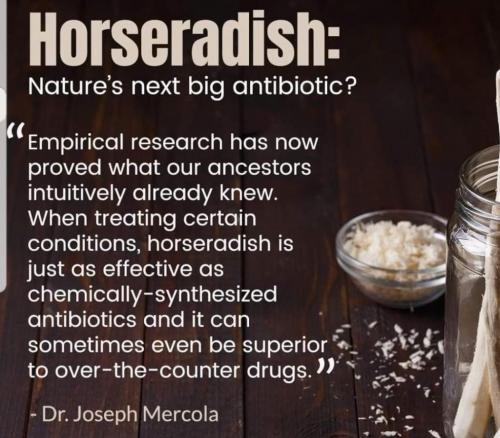 09:00:36 GMT+0000 (GMT)