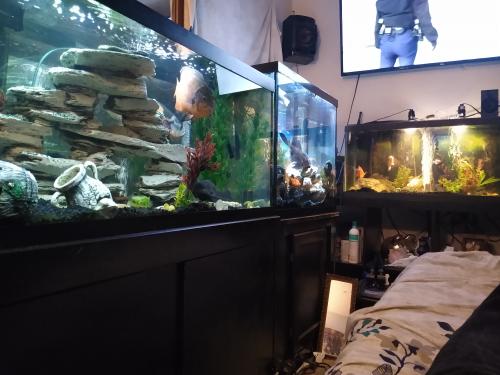 16:46:28 GMT-0600 (CST)