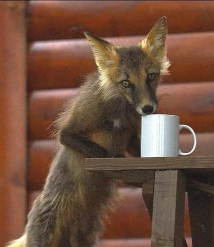 08:33:05 GMT-0600 (CST)