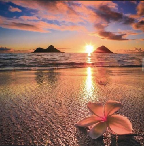 21:10:44 GMT-0800 (PST).image