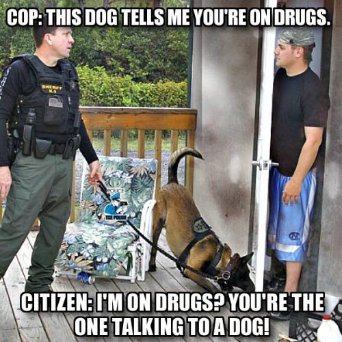 128017094_413775509952172_7636219806348401499_n