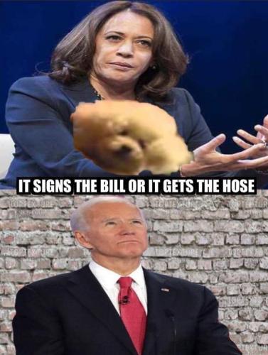 11:18:58 GMT-0500 (EST).image