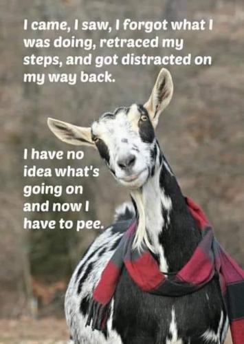 08:44:33 GMT-0700 (MST).image