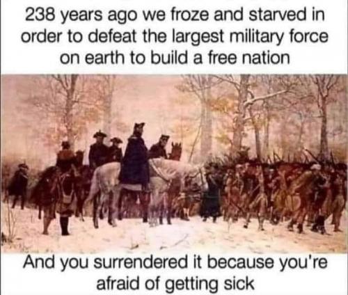 131971170_3055099424589827_3792813402381357532_n