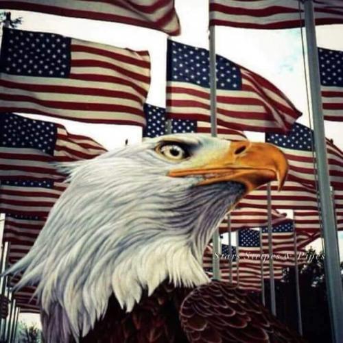 13:27:56 GMT-0600 (CST).image