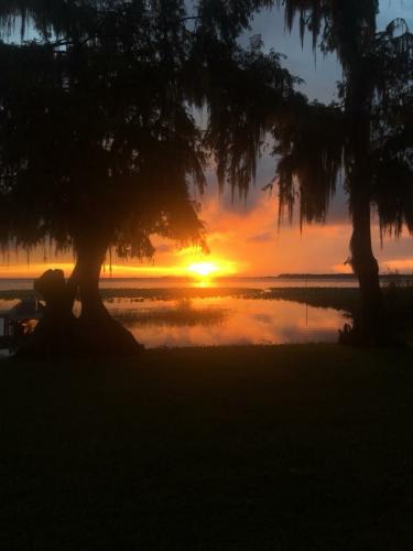 08:00:31 GMT-0500 (EST).image