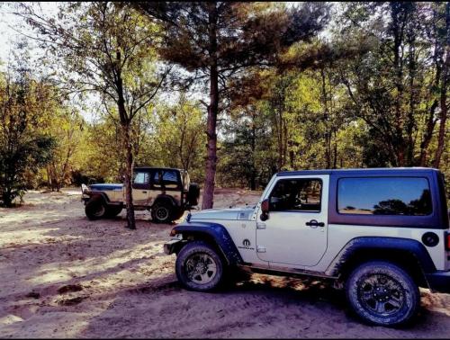 00:24:05 GMT-0500 (EST)