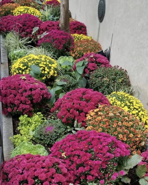 10:21:23 GMT+0100 (WAT).image