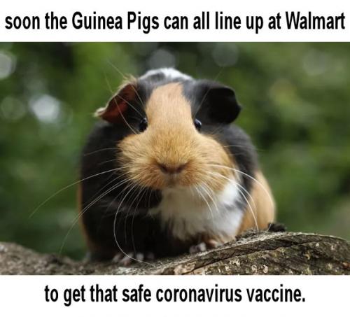vaccine38