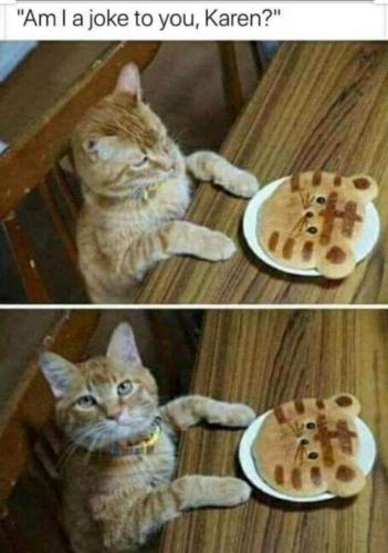 20:09:35 GMT-0600 (CST)