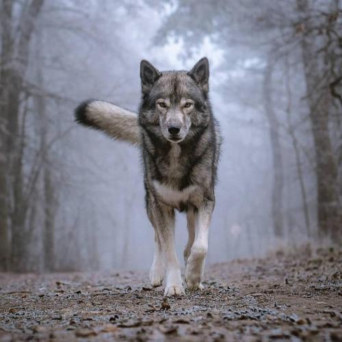 131671341_217579653269402_6139056845316176735_o