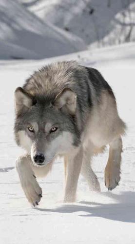 b95720555e5fc977df075e72c69426df