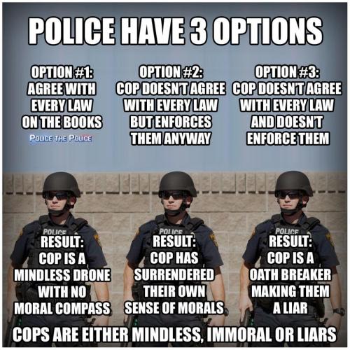 131982777_426606702002386_3655262856766176259_o