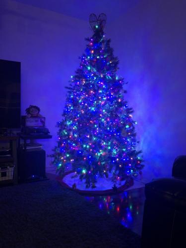 20:55:46 GMT-0700 (MST)