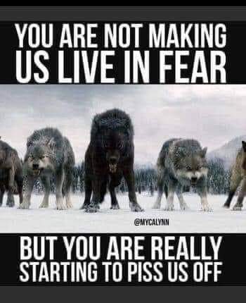 19:27:21 GMT-0500 (EST)