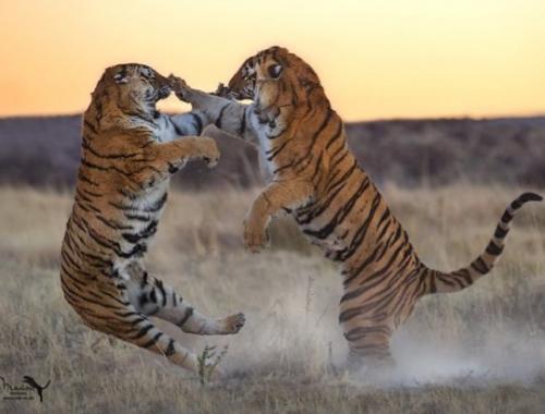 tumblr_d622b0422e89ff6443758f0fe547abb3_4088ae59_540