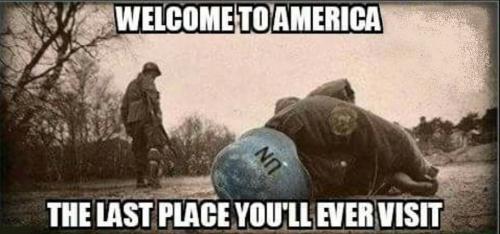 b9d3e49bc1ad10ed85cdde99dc2291e8_1024