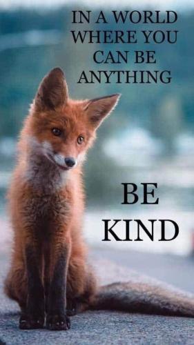 19:56:59 GMT-0600 (CST)