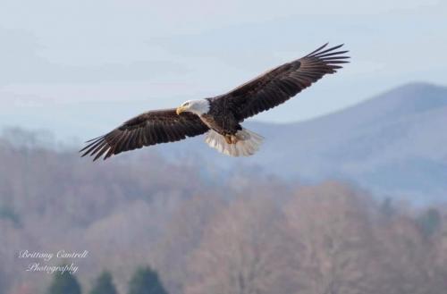 15:01:27 GMT-0500 (EST)