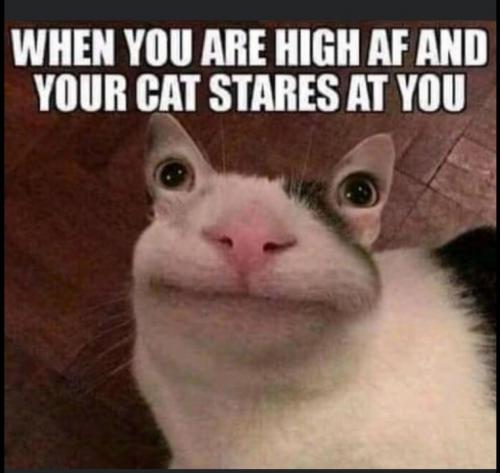 18:28:22 GMT-0600 (CST)