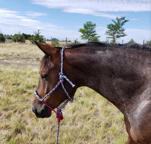 117708434_3482080075144653_3902055663632241595_n