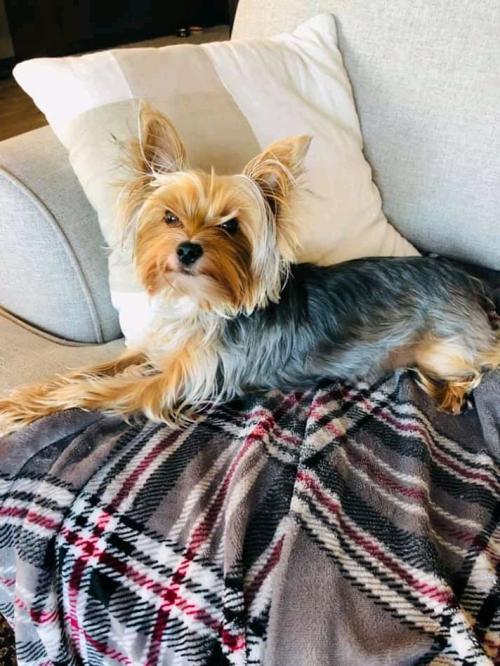 08:02:23 GMT+0100 (WAT)