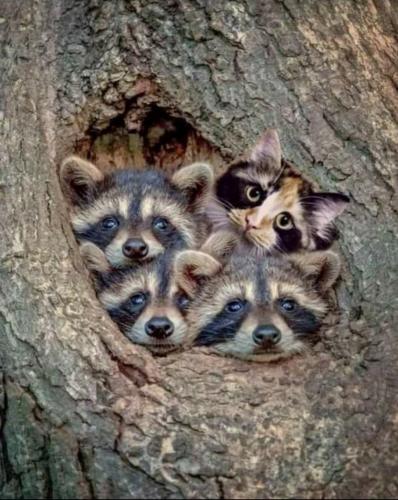 15:36:54 GMT-0500 (EST)