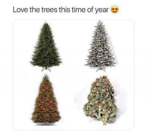 08:46:03 GMT-0500 (EST).image