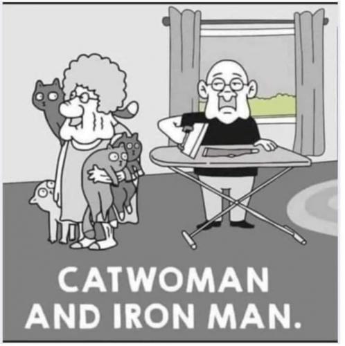 Cat Woman Iron Man