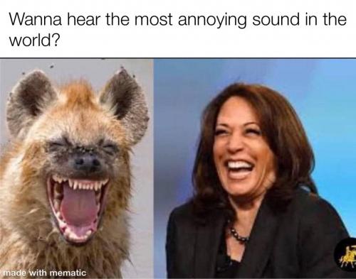 9F7605C5-ADCF-47B8-A006-FD6089781E8B-4771-0000032EBFF267B2