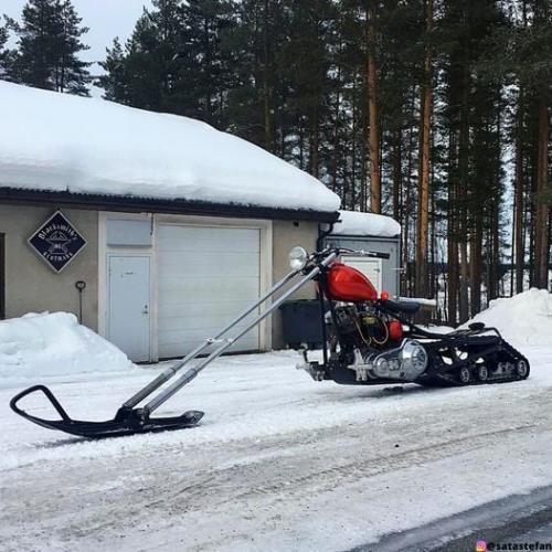 133595916_10221548927745341_7315894531967790375_n