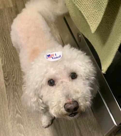 05:04:33 GMT+0100 (WAT)