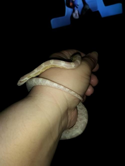 04:02:15 GMT-0600 (CST)