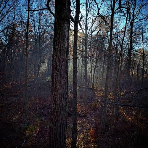 17390759_10155174737179581_3201995910591429561_o