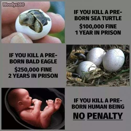 09:22:25 GMT-0600 (CST)