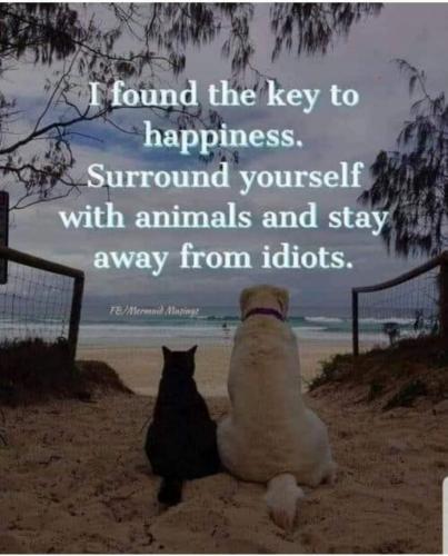 15:34:54 GMT-0500 (EST)