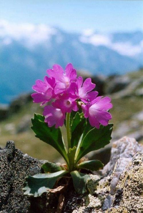 23:45:27 GMT+0100 (WAT).image