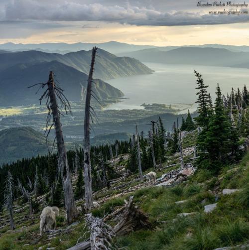 82590359_2657376837916993_3991438183686210378_o