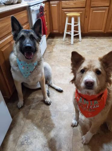 11:45:33 GMT-0700 (MST)