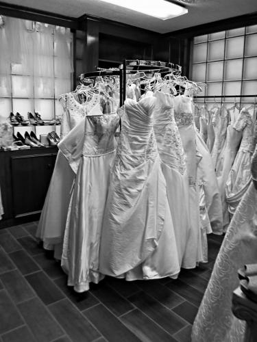 32410047232_7886bc736a_o