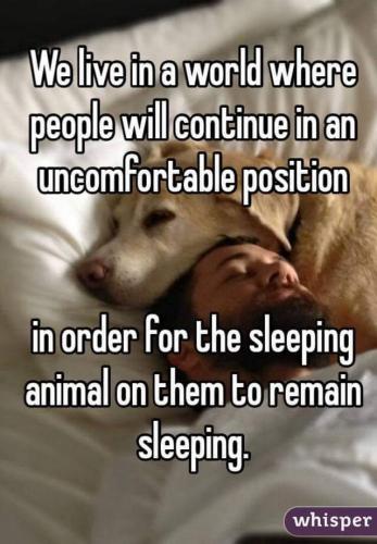 07:59:12 GMT-0600 (CST)