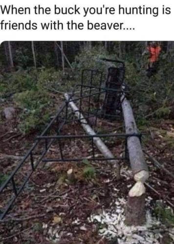 17:59:58 GMT-0700 (MST).image